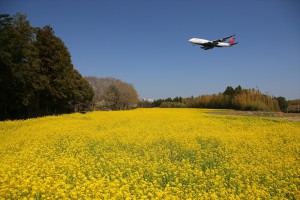 aircraft (21)_R